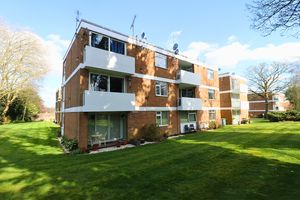 Photo 6- click for photo gallery